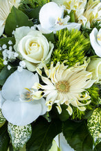 Charger l'image dans la galerie, Bouquet bulle blanc-crème